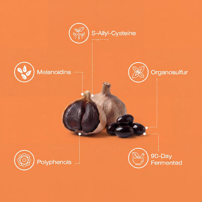 UriClear: Fermented Black Garlic Restoration Protocol